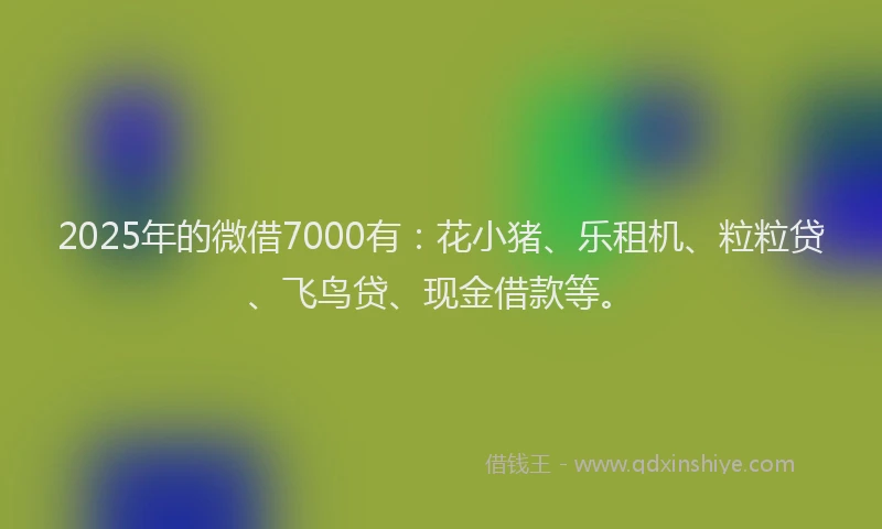 2025年的微借7000有：花小猪、乐租机、粒粒贷、飞鸟贷、现金借款等。
