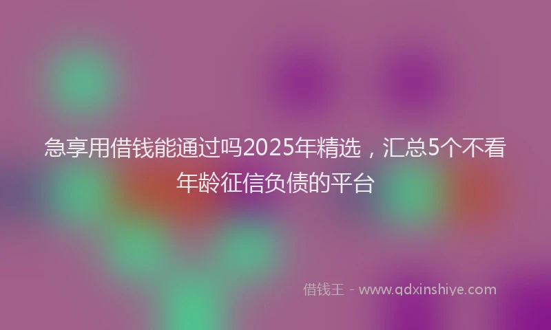 急享用借钱能通过吗2025年精选，汇总5个不看年龄征信负债的平台