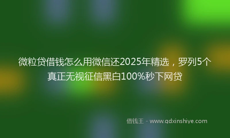 微粒贷借钱怎么用微信还2025年精选，罗列5个真正无视征信黑白100%秒下网贷