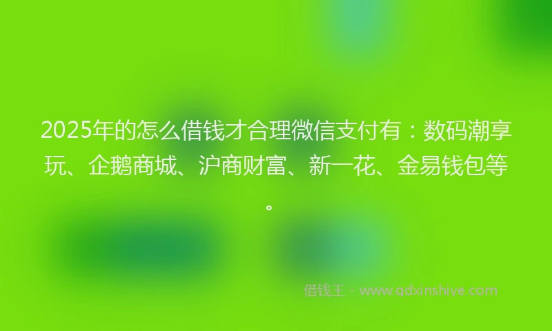 2025年的怎么借钱才合理微信支付有：数码潮享玩、企鹅商城、沪商财富、新一花、金易钱包等。