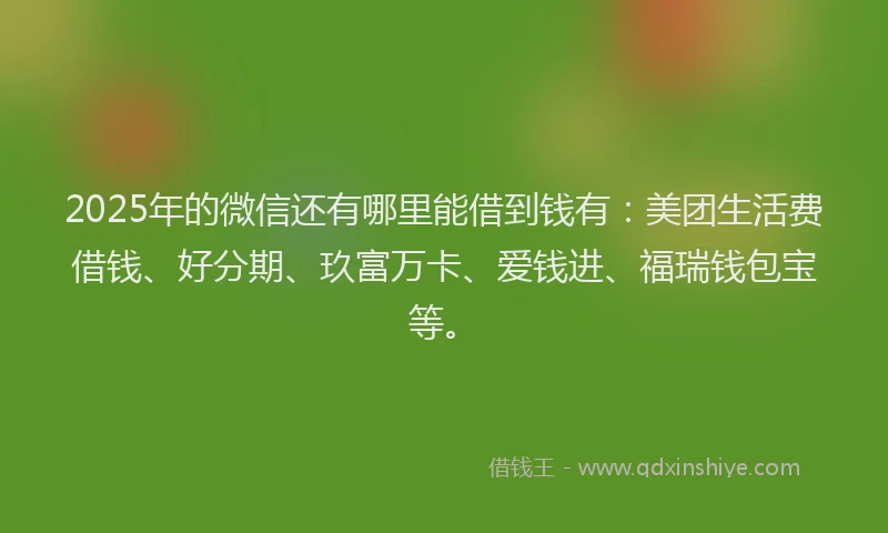2025年的微信还有哪里能借到钱有：美团生活费借钱、好分期、玖富万卡、爱钱进、福瑞钱包宝等。