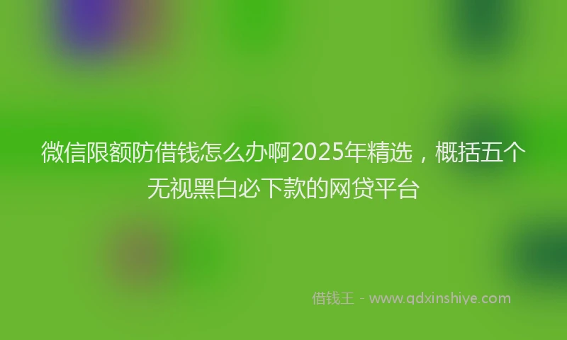 微信限额防借钱怎么办啊2025年精选，概括五个无视黑白必下款的网贷平台