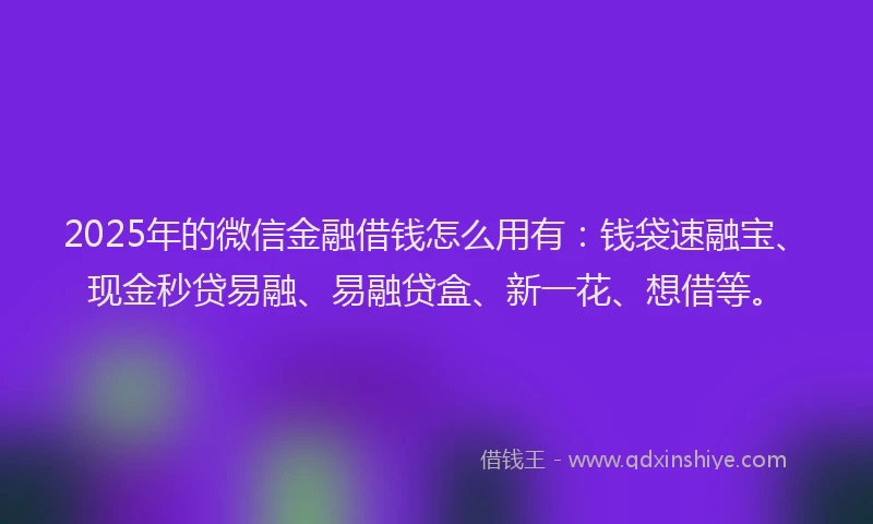 2025年的微信金融借钱怎么用有：钱袋速融宝、现金秒贷易融、易融贷盒、新一花、想借等。