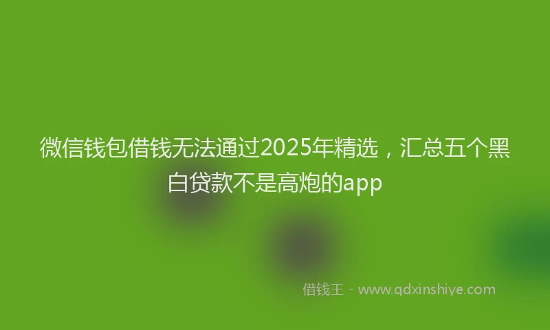 微信钱包借钱无法通过2025年精选，汇总五个黑白贷款不是高炮的app