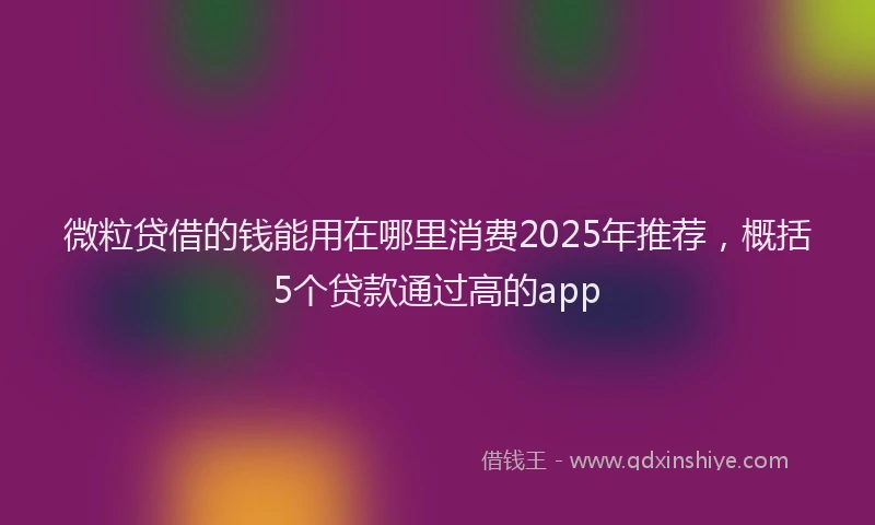 微粒贷借的钱能用在哪里消费2025年推荐，概括5个贷款通过高的app