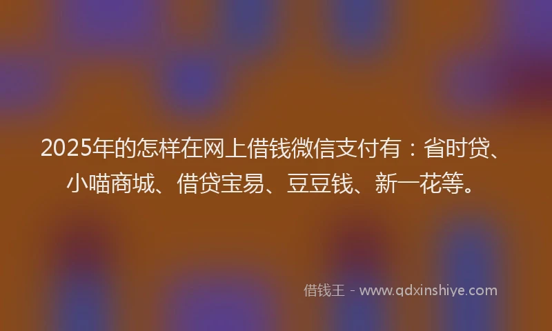 2025年的怎样在网上借钱微信支付有：省时贷、小喵商城、借贷宝易、豆豆钱、新一花等。