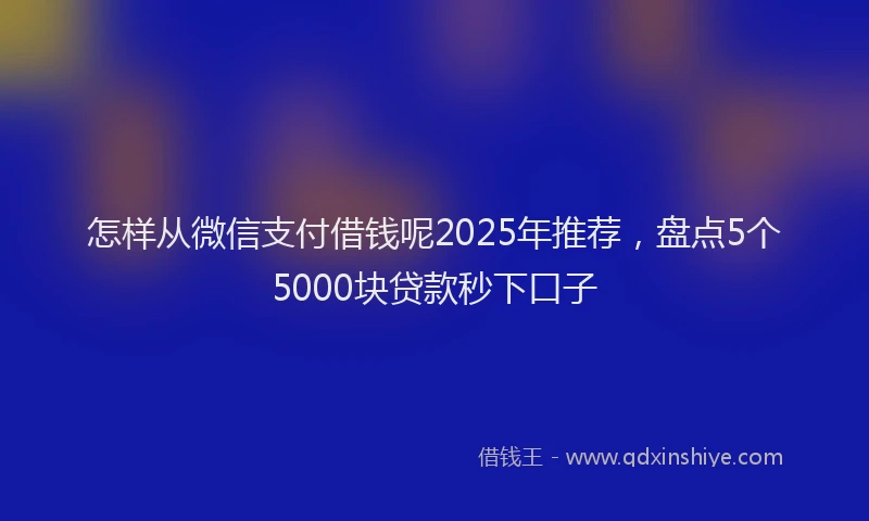 怎样从微信支付借钱呢2025年推荐，盘点5个5000块贷款秒下口子