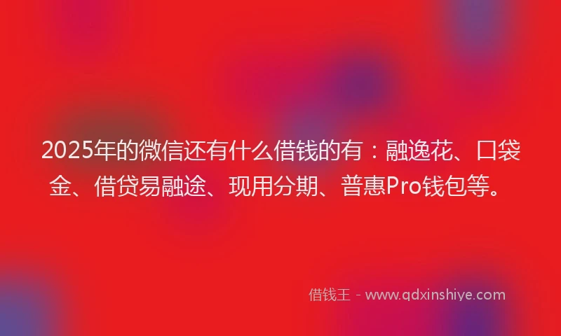 2025年的微信还有什么借钱的有：融逸花、口袋金、借贷易融途、现用分期、普惠Pro钱包等。