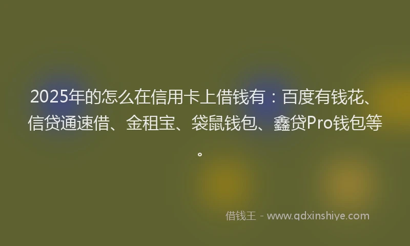 2025年的怎么在信用卡上借钱有：百度有钱花、信贷通速借、金租宝、袋鼠钱包、鑫贷Pro钱包等。