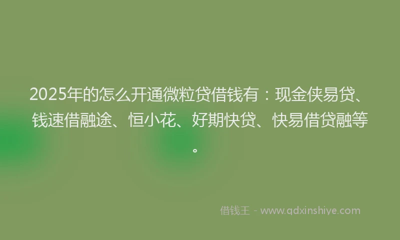 2025年的怎么开通微粒贷借钱有：现金侠易贷、钱速借融途、恒小花、好期快贷、快易借贷融等。