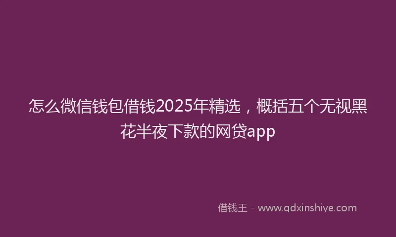 怎么微信钱包借钱2025年精选，概括五个无视黑花半夜下款的网贷app