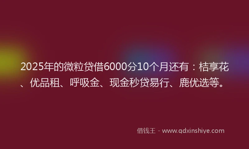 2025年的微粒贷借6000分10个月还有：桔享花、优品租、呼吸金、现金秒贷易行、鹿优选等。