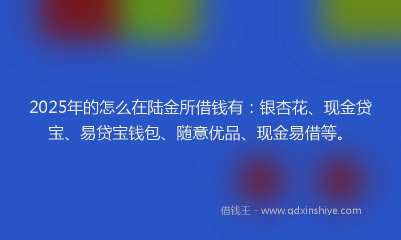 2025年的怎么在陆金所借钱有：银杏花、现金贷宝、易贷宝钱包、随意优品、现金易借等。