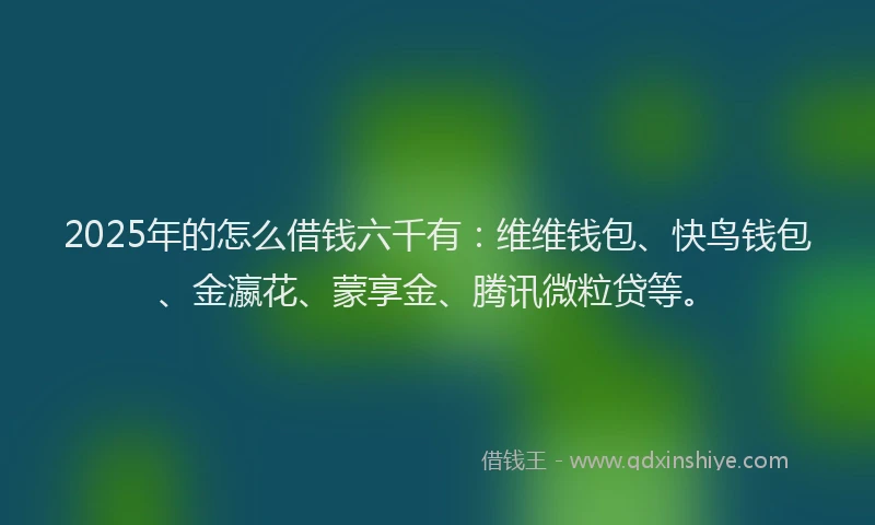 2025年的怎么借钱六千有：维维钱包、快鸟钱包、金瀛花、蒙享金、腾讯微粒贷等。