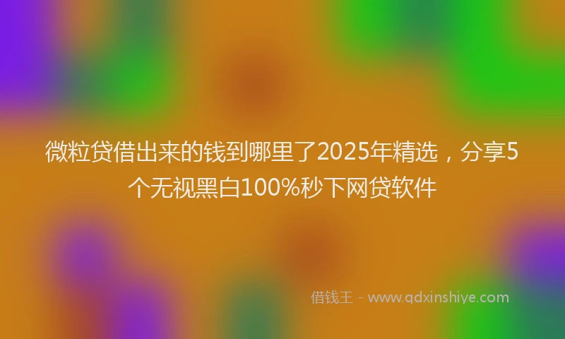 微粒贷借出来的钱到哪里了2025年精选，分享5个无视黑白100%秒下网贷软件