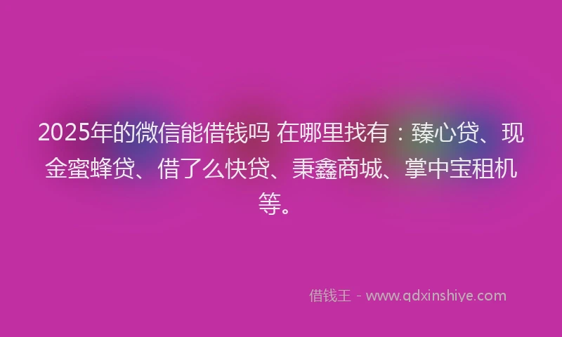 2025年的微信能借钱吗 在哪里找有：臻心贷、现金蜜蜂贷、借了么快贷、秉鑫商城、掌中宝租机等。
