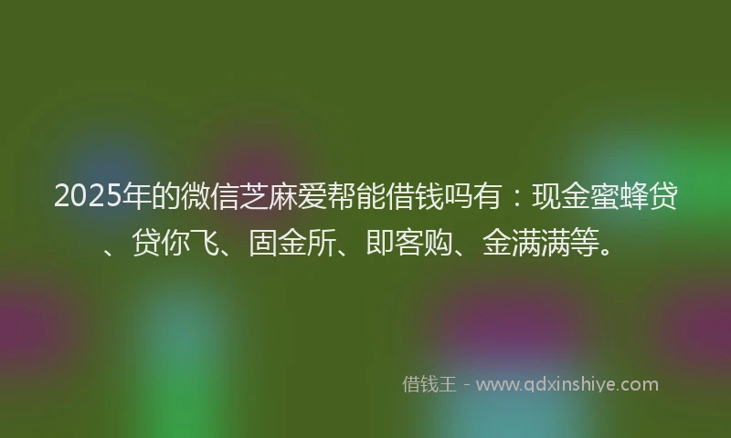 2025年的微信芝麻爱帮能借钱吗有：现金蜜蜂贷、贷你飞、固金所、即客购、金满满等。