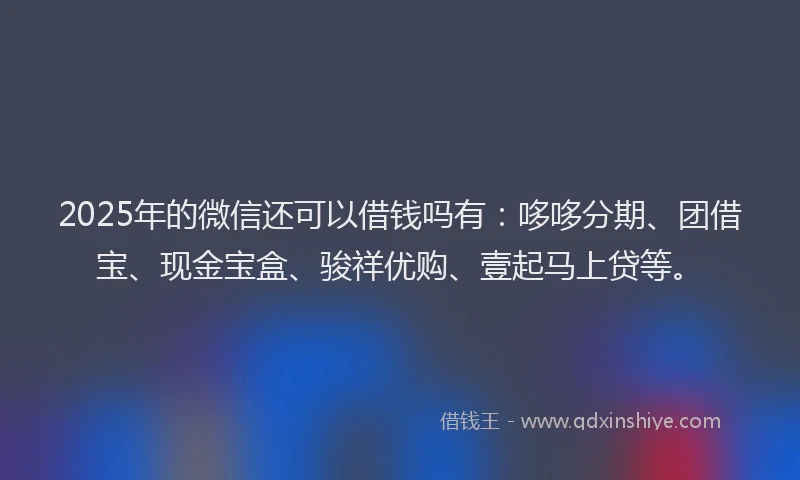2025年的微信还可以借钱吗有：哆哆分期、团借宝、现金宝盒、骏祥优购、壹起马上贷等。