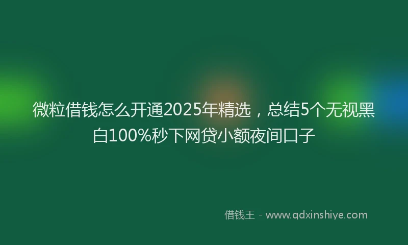 微粒借钱怎么开通2025年精选，总结5个无视黑白100%秒下网贷小额夜间口子