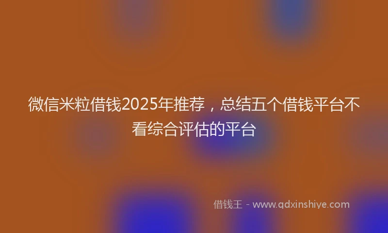微信米粒借钱2025年推荐，总结五个借钱平台不看综合评估的平台