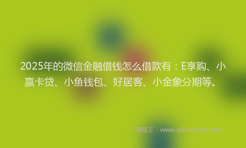 2025年的微信金融借钱怎么借款有：E享购、小赢卡贷、小鱼钱包、好居客、小金象分期等。