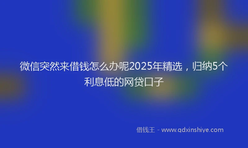 微信突然来借钱怎么办呢2025年精选，归纳5个利息低的网贷口子
