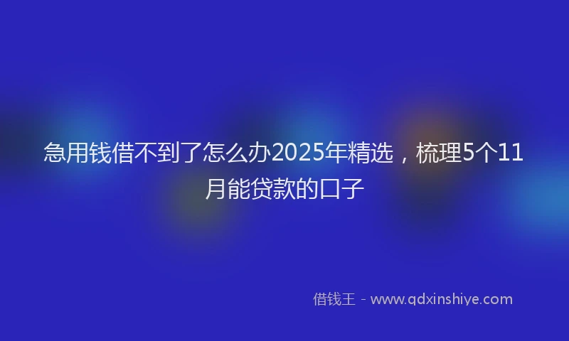 急用钱借不到了怎么办2025年精选，梳理5个11月能贷款的口子