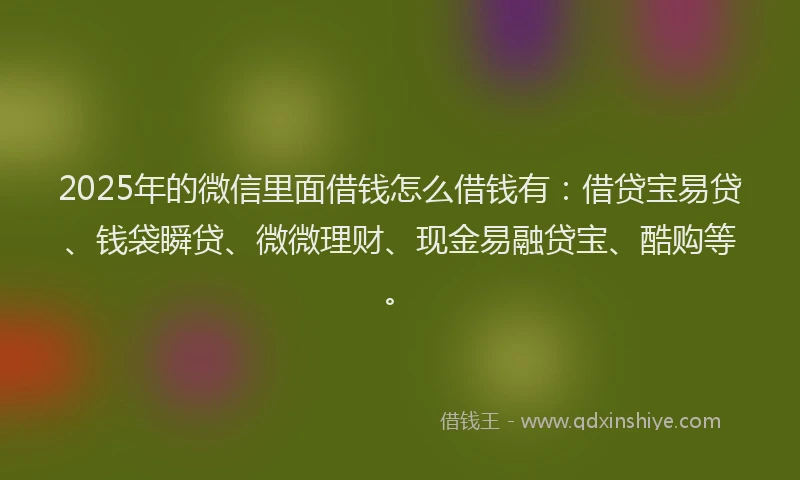 2025年的微信里面借钱怎么借钱有：借贷宝易贷、钱袋瞬贷、微微理财、现金易融贷宝、酷购等。