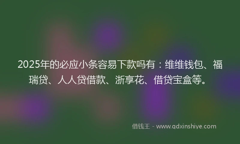 2025年的必应小条容易下款吗有：维维钱包、福瑞贷、人人贷借款、浙享花、借贷宝盒等。