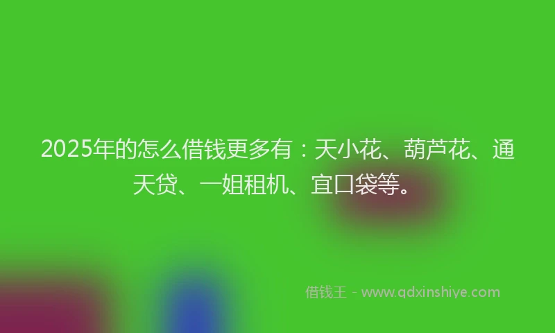 2025年的怎么借钱更多有：天小花、葫芦花、通天贷、一姐租机、宜口袋等。