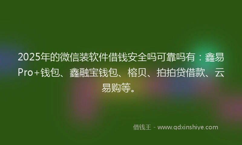2025年的微信装软件借钱安全吗可靠吗有：鑫易Pro+钱包、鑫融宝钱包、榕贝、拍拍贷借款、云易购等。