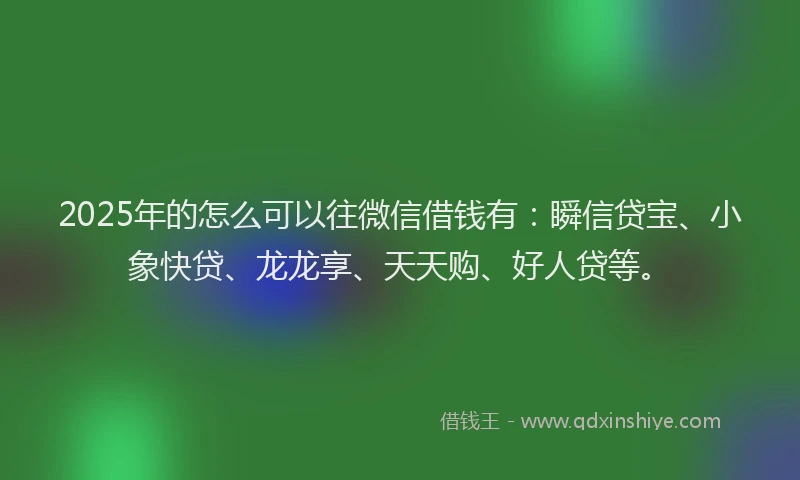 2025年的怎么可以往微信借钱有：瞬信贷宝、小象快贷、龙龙享、天天购、好人贷等。