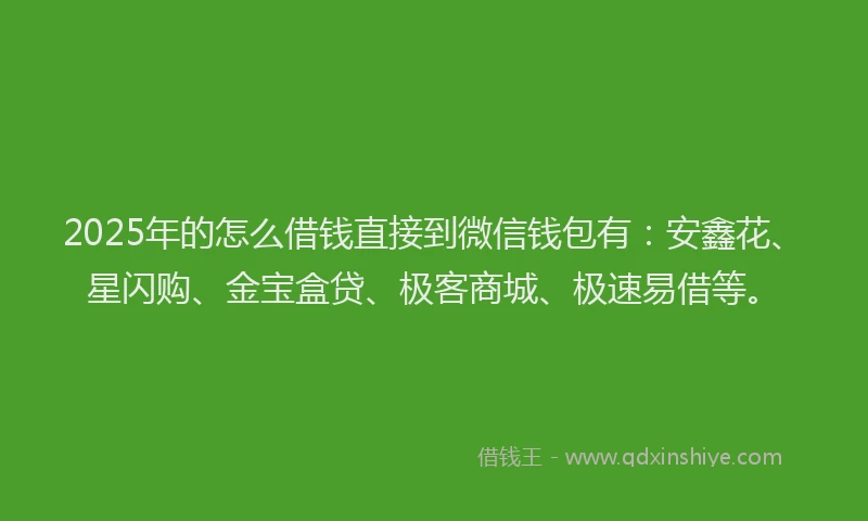 2025年的怎么借钱直接到微信钱包有：安鑫花、星闪购、金宝盒贷、极客商城、极速易借等。