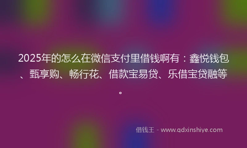 2025年的怎么在微信支付里借钱啊有：鑫悦钱包、甄享购、畅行花、借款宝易贷、乐借宝贷融等。