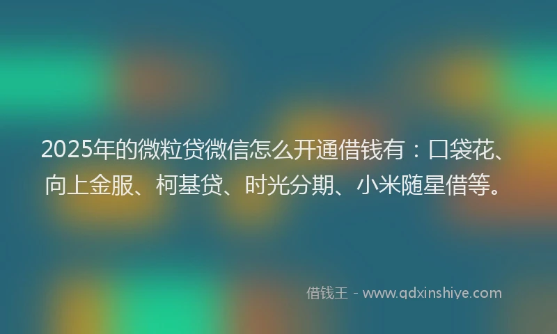 2025年的微粒贷微信怎么开通借钱有：口袋花、向上金服、柯基贷、时光分期、小米随星借等。