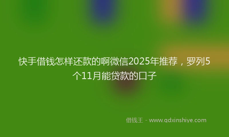 快手借钱怎样还款的啊微信2025年推荐，罗列5个11月能贷款的口子