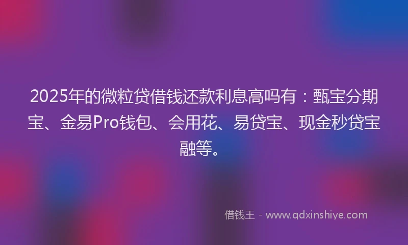 2025年的微粒贷借钱还款利息高吗有：甄宝分期宝、金易Pro钱包、会用花、易贷宝、现金秒贷宝融等。