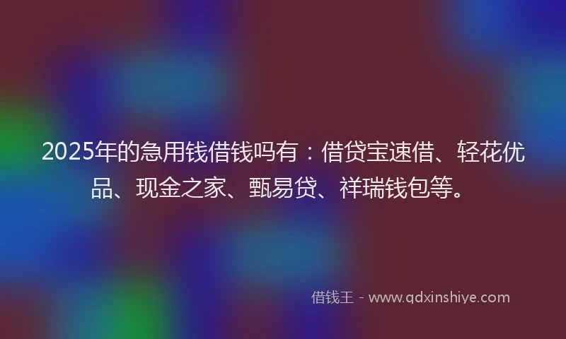 2025年的急用钱借钱吗有：借贷宝速借、轻花优品、现金之家、甄易贷、祥瑞钱包等。