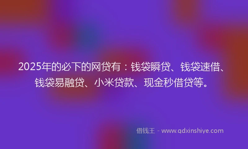2025年的必下的网贷有：钱袋瞬贷、钱袋速借、钱袋易融贷、小米贷款、现金秒借贷等。