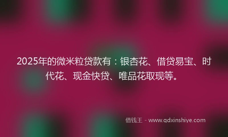 2025年的微米粒贷款有：银杏花、借贷易宝、时代花、现金快贷、唯品花取现等。