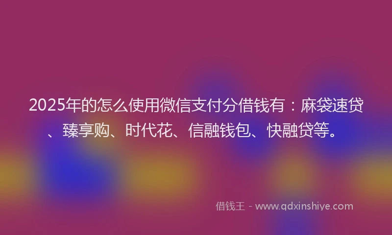2025年的怎么使用微信支付分借钱有：麻袋速贷、臻享购、时代花、信融钱包、快融贷等。