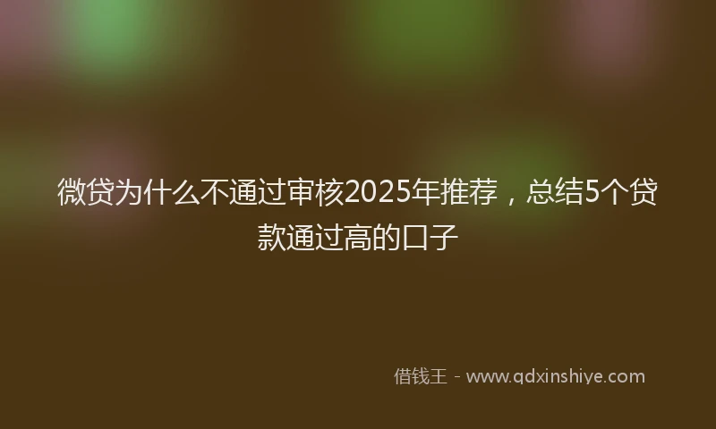 微贷为什么不通过审核2025年推荐，总结5个贷款通过高的口子