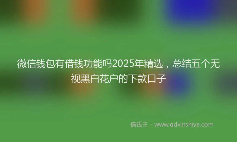 微信钱包有借钱功能吗2025年精选，总结五个无视黑白花户的下款口子