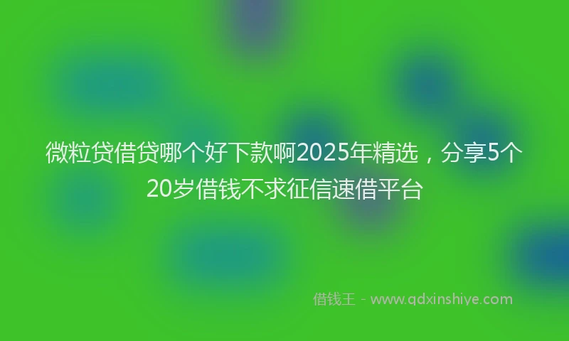 微粒贷借贷哪个好下款啊2025年精选，分享5个20岁借钱不求征信速借平台