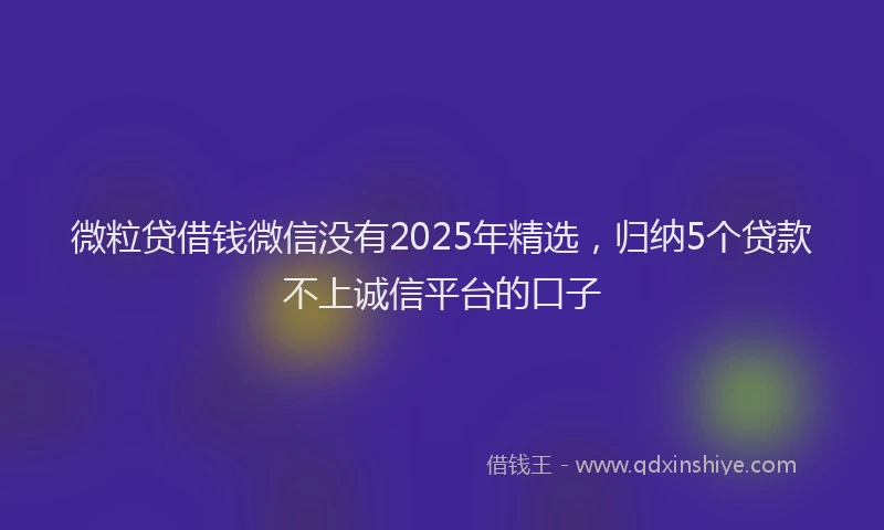 微粒贷借钱微信没有2025年精选，归纳5个贷款不上诚信平台的口子