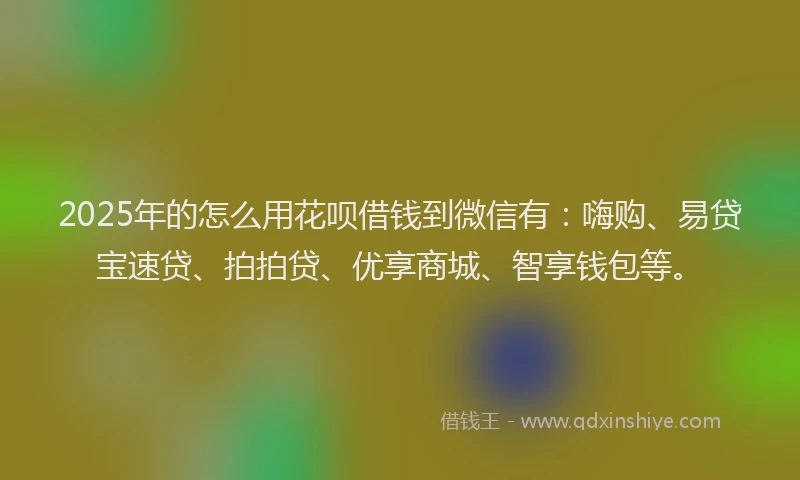 2025年的怎么用花呗借钱到微信有：嗨购、易贷宝速贷、拍拍贷、优享商城、智享钱包等。
