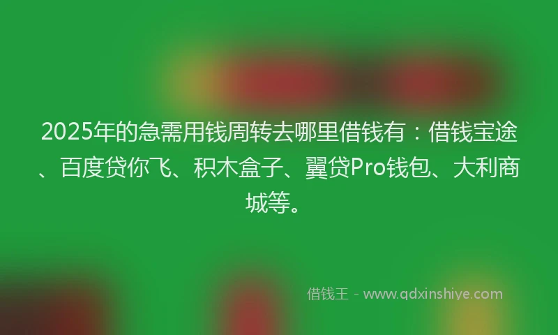 2025年的急需用钱周转去哪里借钱有：借钱宝途、百度贷你飞、积木盒子、翼贷Pro钱包、大利商城等。