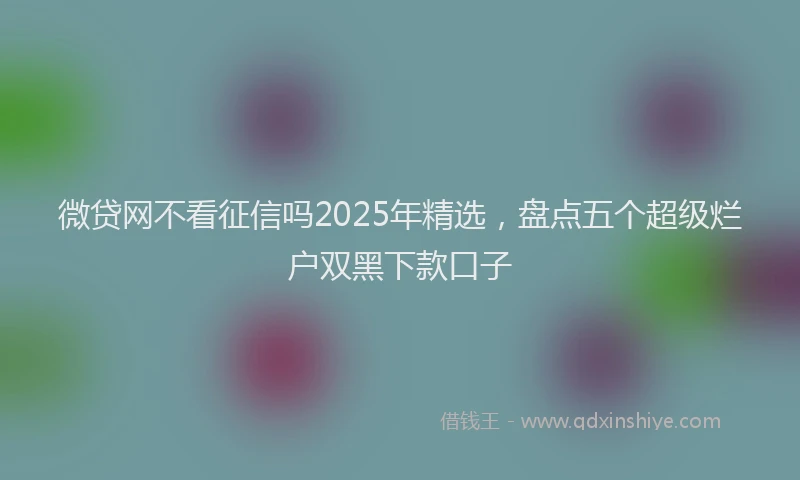 微贷网不看征信吗2025年精选，盘点五个超级烂户双黑下款口子
