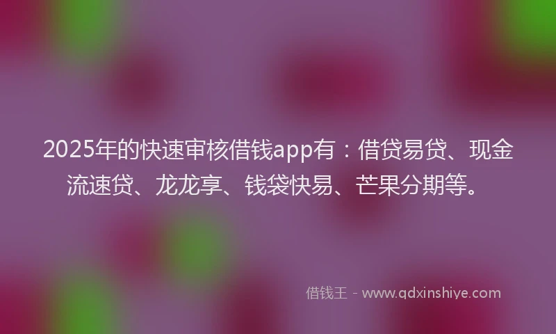 2025年的快速审核借钱app有：借贷易贷、现金流速贷、龙龙享、钱袋快易、芒果分期等。
