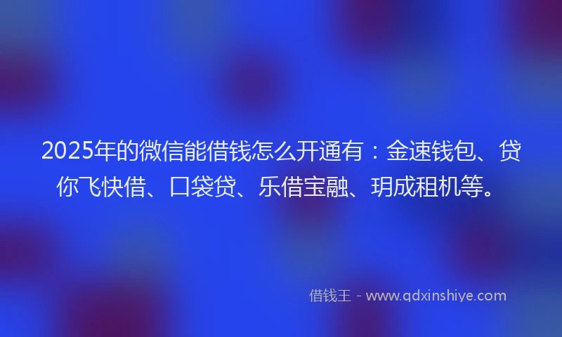 2025年的微信能借钱怎么开通有：金速钱包、贷你飞快借、口袋贷、乐借宝融、玥成租机等。